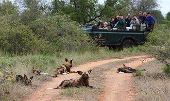 Motswari Private Game Reserve - Timbavati クラセリー・プライベート自然保護区 エクステリア 写真